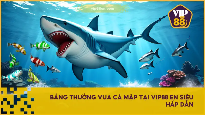 Vua Cá Mập tại VIP88 EN trang bị hệ thống thưởng đa cấp tạo nên yếu tố bất ngờ liên tục