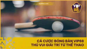 Cá Cược Bóng Bàn VIP88 - Thú Vui Giải Trí Từ Thể Thao