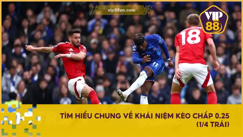 Kèo chấp 0.25 (1/4 trái) là lựa chọn ít rủi ro cho tân thủ