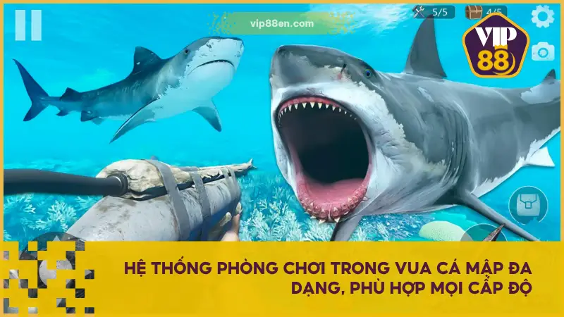 VIP88 EN phân chia Vua Cá Mập thành nhiều phòng chơi