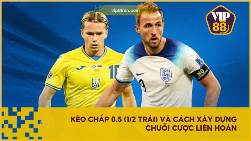 Xây dựng chuỗi cược liên hoàn, quản lý tiền chuẩn chỉnh để có lợi nhuận cao