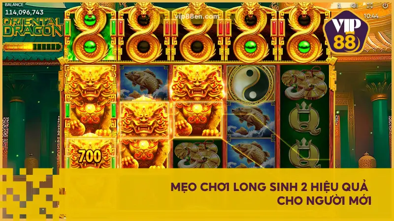 Những gợi ý đơn giản nhưng hiệu quả giúp người mới bắt đầu