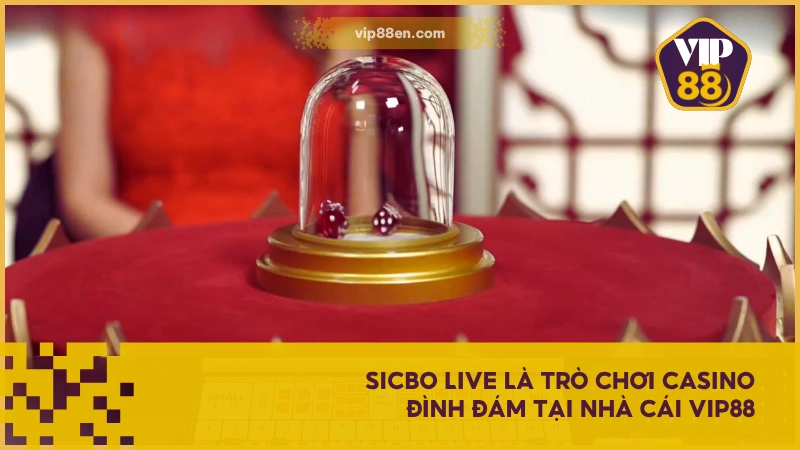 Sicbo Live VIP88- Giải Trí Hiện Đại, Phát Sóng Trực Tiếp 2 Sicbo Live là trò chơi casino đình đám tại nhà cái VIP88