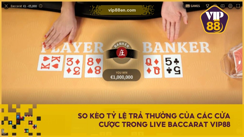 So kèo tỷ lệ trả thưởng của các cửa cược trong Live Baccarat VIP88